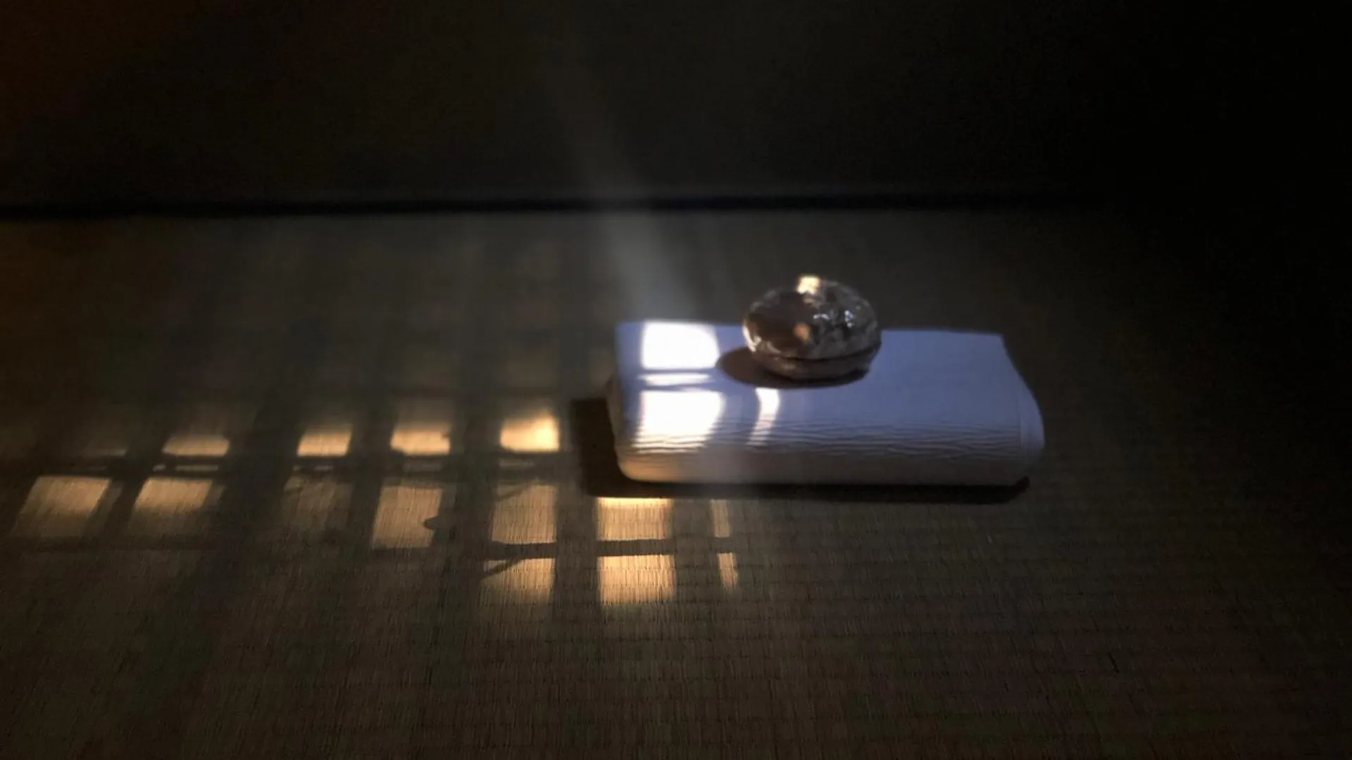 Ryokan Tori Kyoto